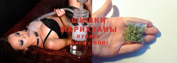 apvp Новозыбков