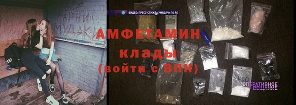 спиды Новодвинск