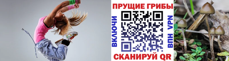 Псилоцибиновые грибы GOLDEN TEACHER  Кущёвская 