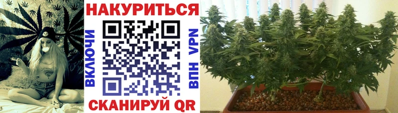 omg вход Кущёвская Шишки марихуана AK-47 что такое наркотик